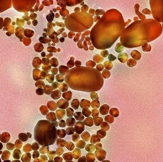 ナノテクノロジーが世界を変える7つの驚くべき方法