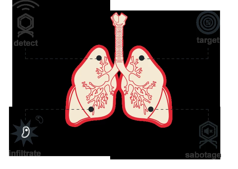 結核と闘う方法