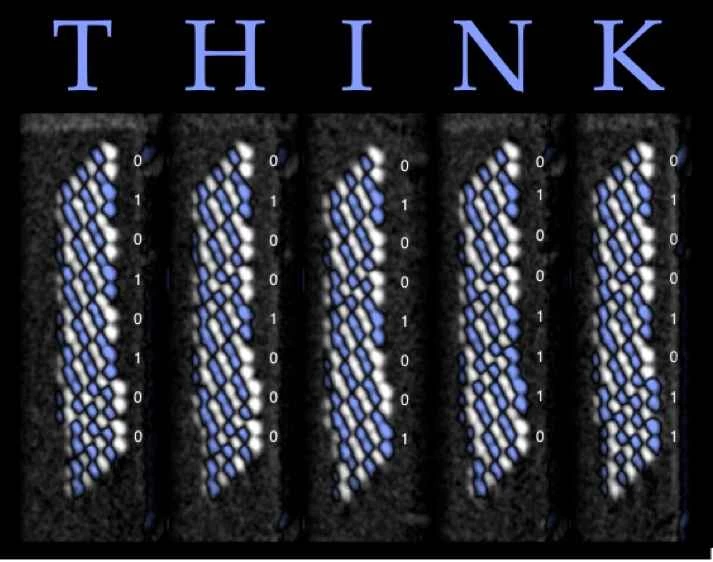 タイニーシンク