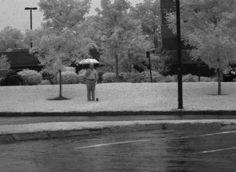 トライウェーブ