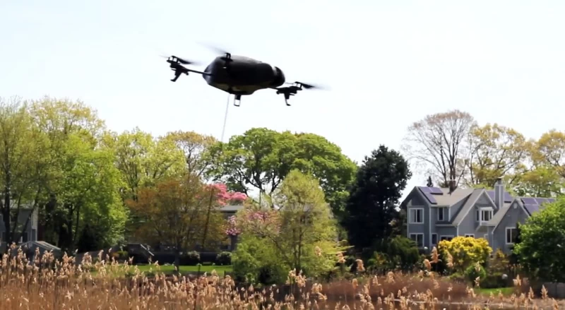 ドローンの週：犬の散歩、海の生き物観察など