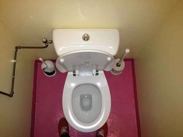 浴室の悪臭で病気になる可能性はありますか？