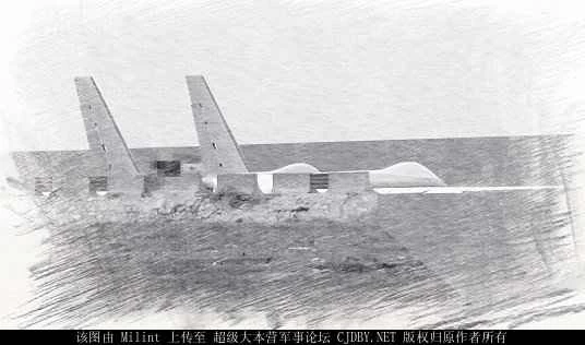 ディバインイーグル中国無人機