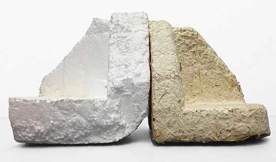 2013年iGEMコンペティションで最も優れた学生生物学プロジェクト9選