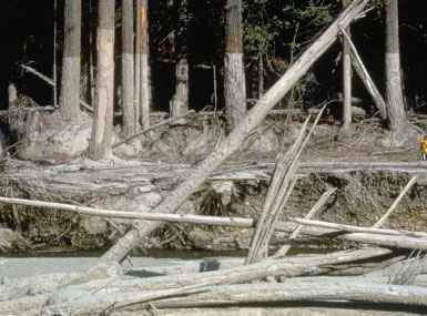 超音速が（静かに）帰ってきた