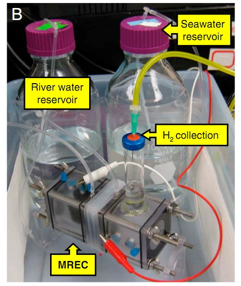 自家発電微生物燃料電池は無制限の水素供給を可能にする