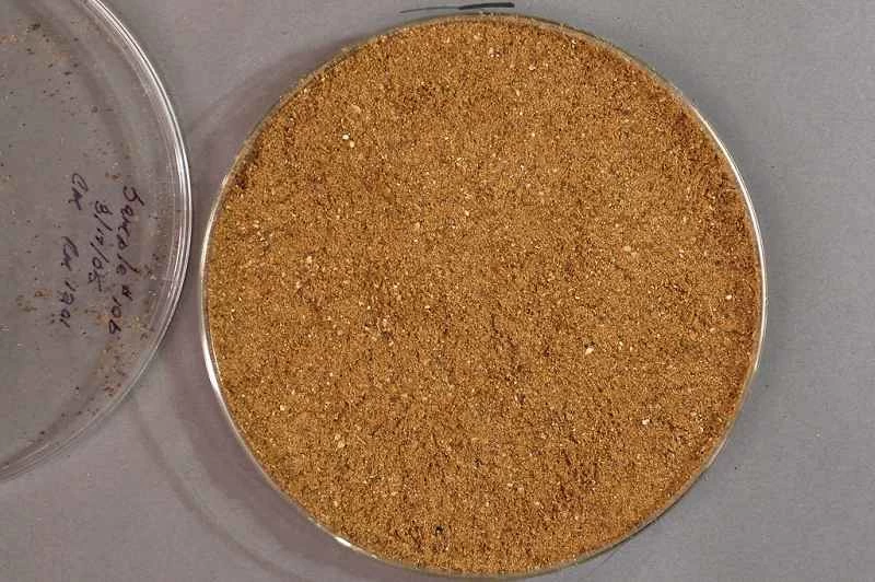 粉砕した動物の肉と骨から生分解性プラスチックが作れるかもしれない