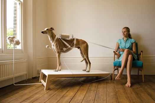 バクテリアから生まれたジャケットとバイオエンジニアリングの10の偉業