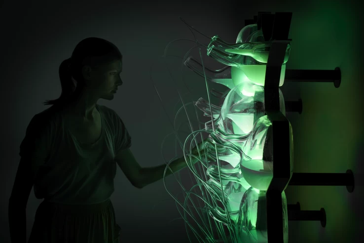 細菌ランプは下水を食べて家を照らす