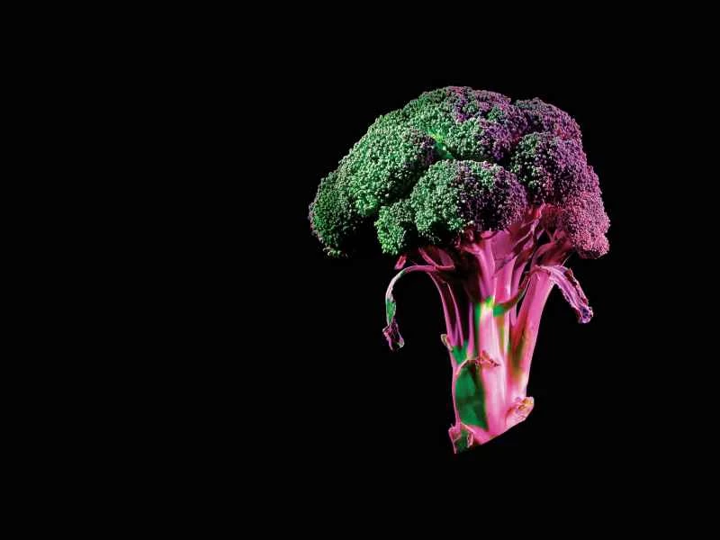 未来の食料生産のあり方