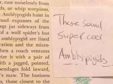 タイラーのスペルミスのある付箋