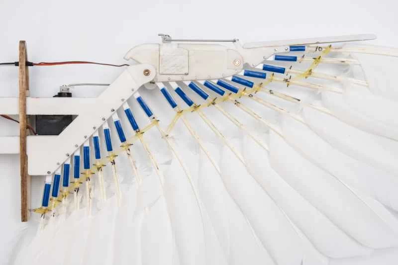 ピジョンボットウィング