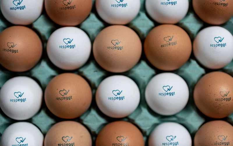 Respeggtの放し飼い卵