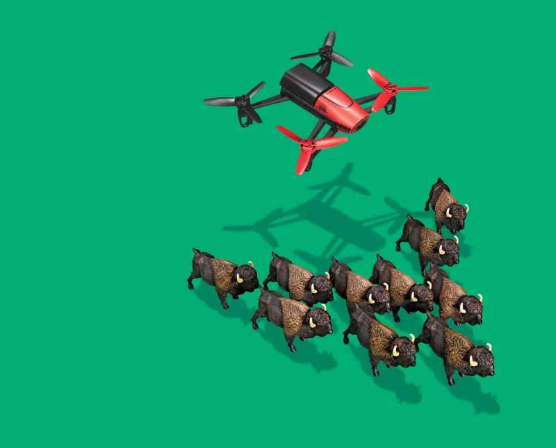 ドローンとバイソンの群れ