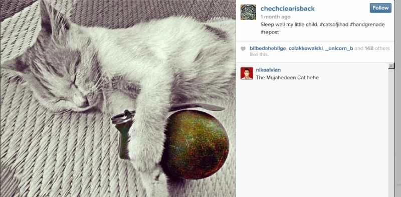 手榴弾を持った猫