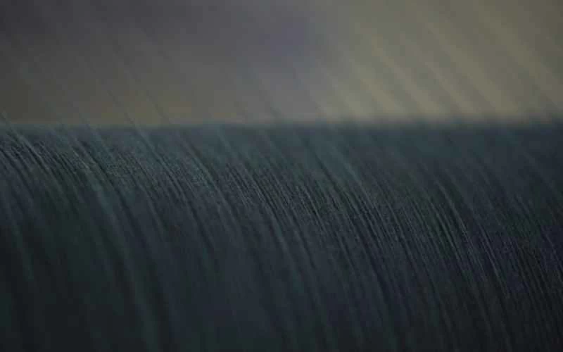 ティンクトリウムの持続可能な植物由来の藍染め