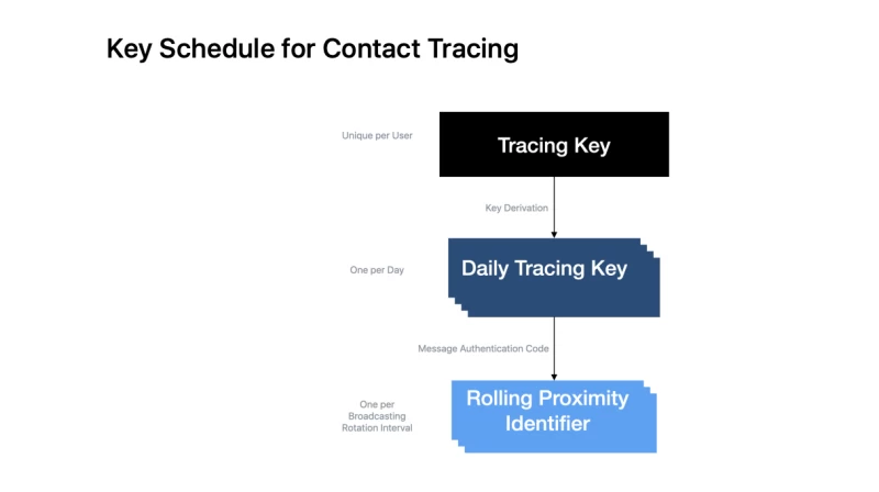 Google、Apple、コロナウイルスアプリ
