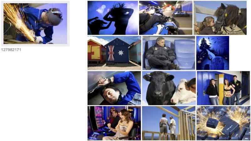 視覚的に似ているShutterstock 1