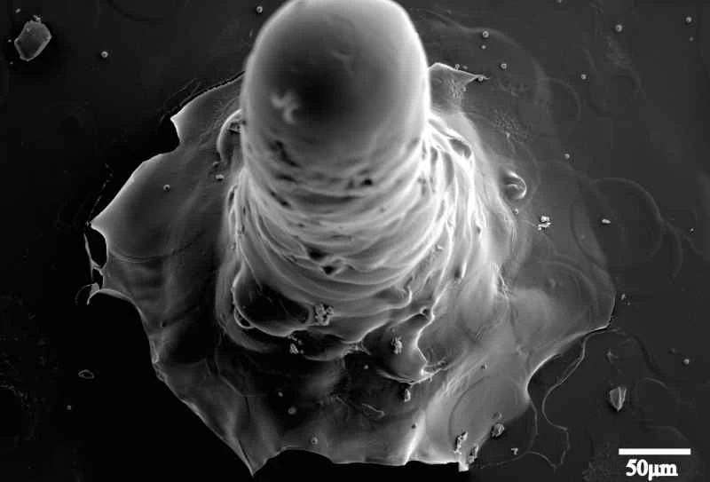 小型ロケットが将来、薬を届けたり、体内のがんを探したりするかもしれない