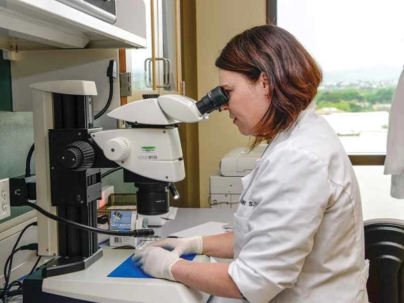 法医学人類学者サラ・リチャー