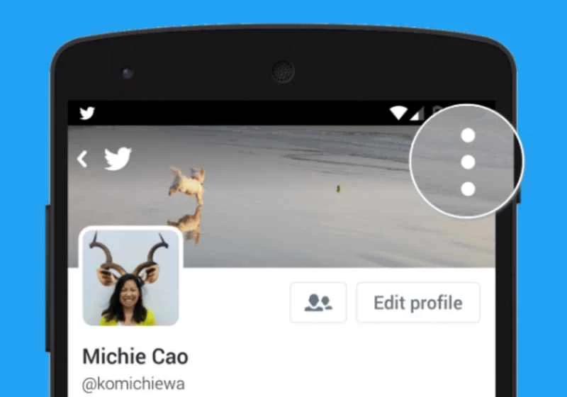 Twitterがフィードを時系列順に表示できるようにしました。その方法と理由は次のとおりです。