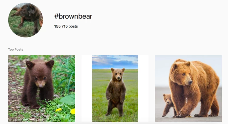 Facebookはハッシュタグ付きのInstagram写真を数十億枚使用してAIを訓練した