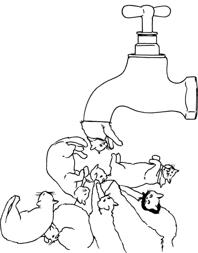 The mysterious case of the cat-scented faucet